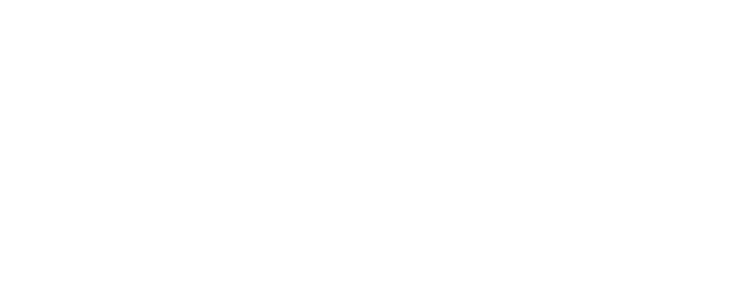 Body Mission Fit Logo